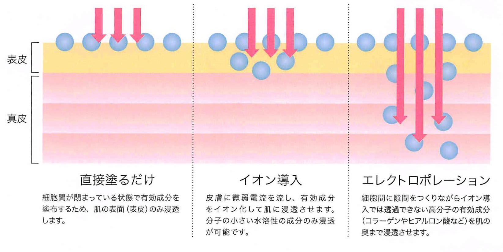 「発毛・育毛ラボ ひろ鍼灸院」へ！