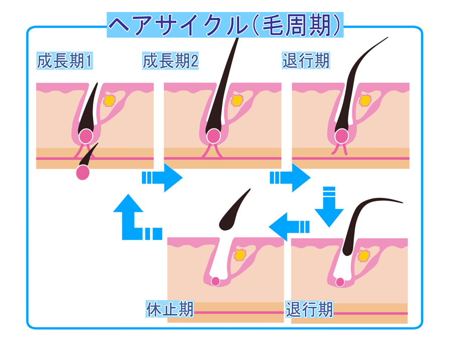 発毛・育毛ラボ　ひろ鍼灸院へ！