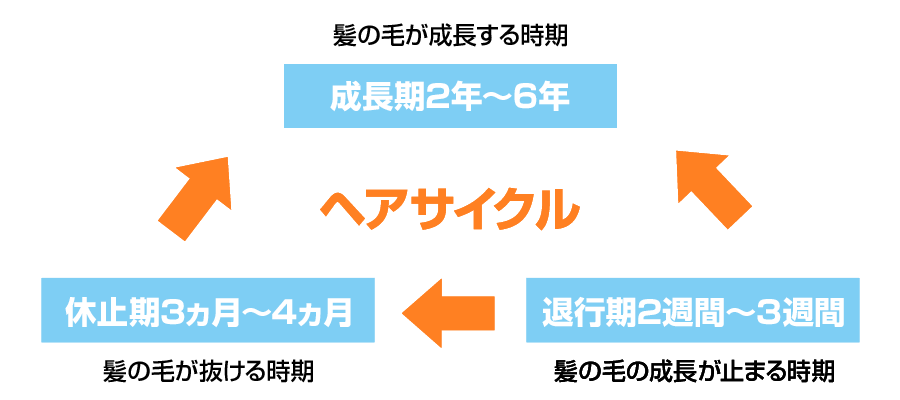 発毛・育毛ラボ　ひろ鍼灸院へ！