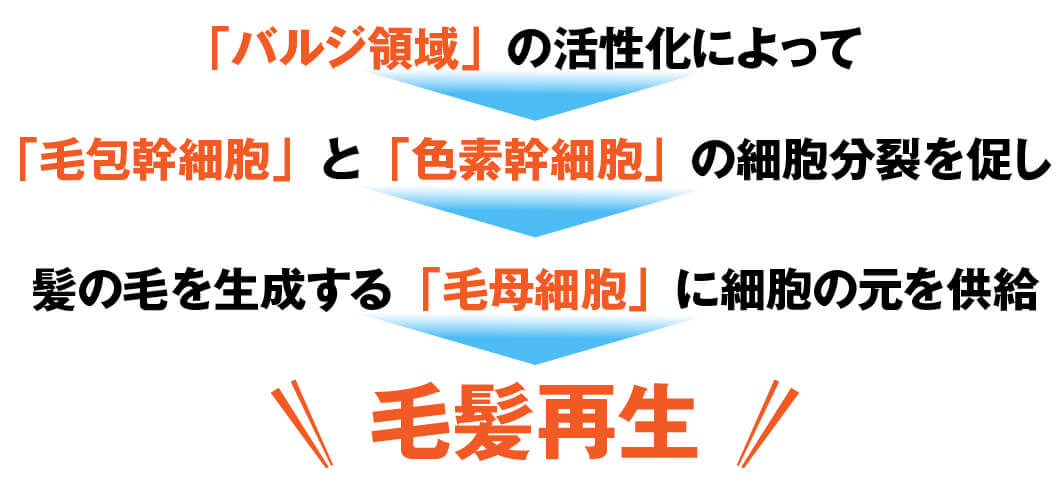 発毛・育毛ラボ　ひろ鍼灸院へ！