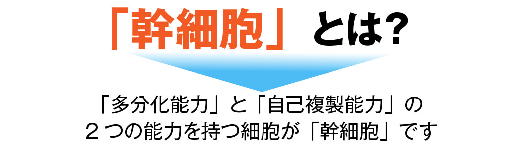 発毛・育毛ラボ　ひろ鍼灸院へ！