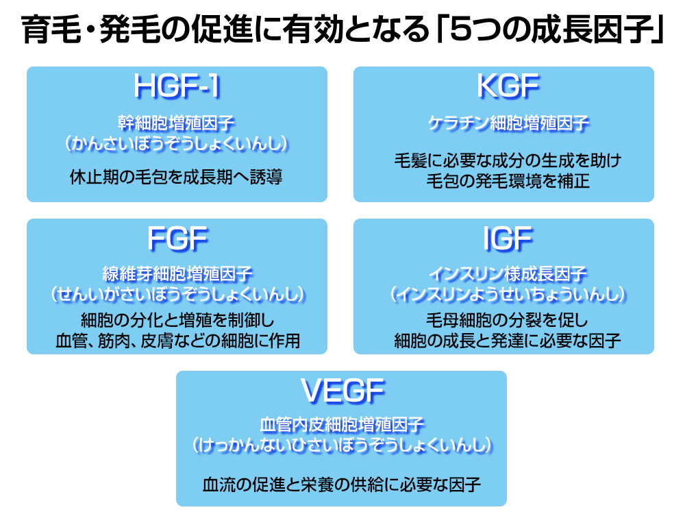 発毛・育毛ラボ　ひろ鍼灸院へ！