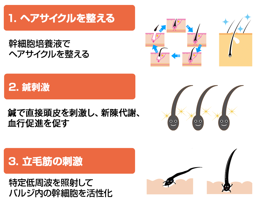 発毛・育毛ラボ　ひろ鍼灸院へ！
