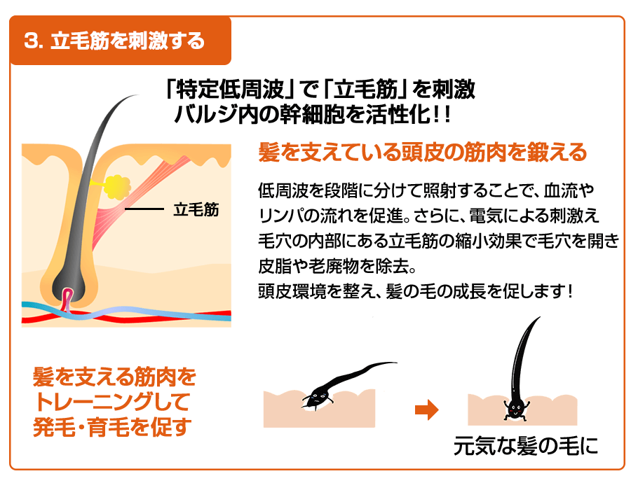 「発毛・育毛ラボ ひろ鍼灸院」へ！