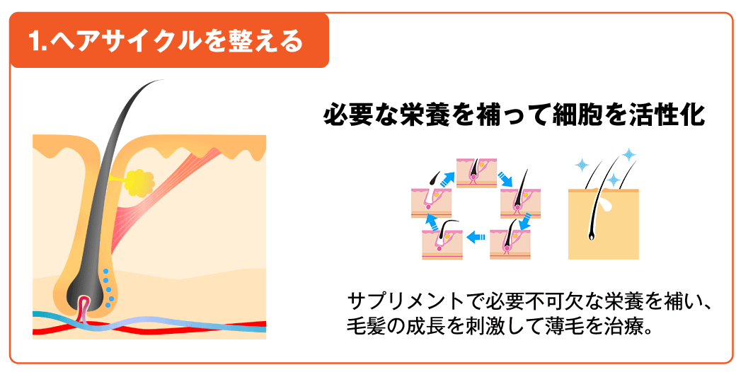 「発毛・育毛ラボ ひろ鍼灸院」へ！