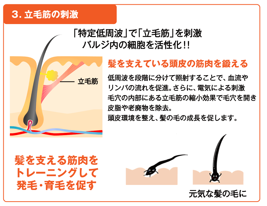 「発毛・育毛ラボ ひろ鍼灸院」へ！